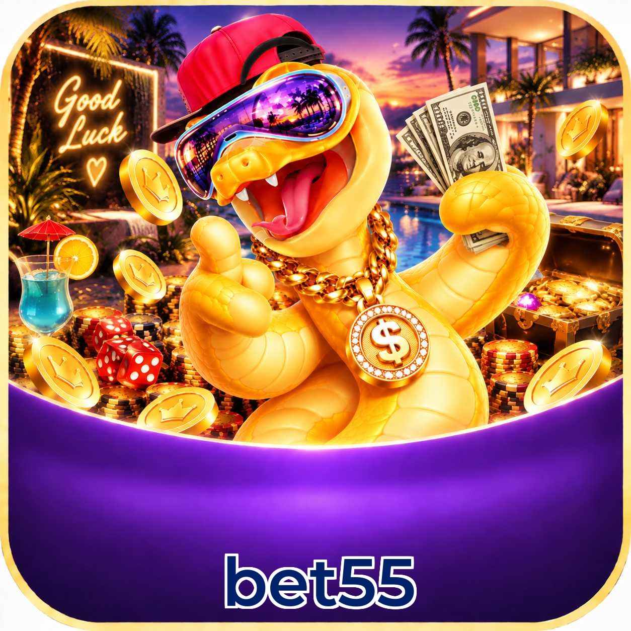 bet55 App vs Web