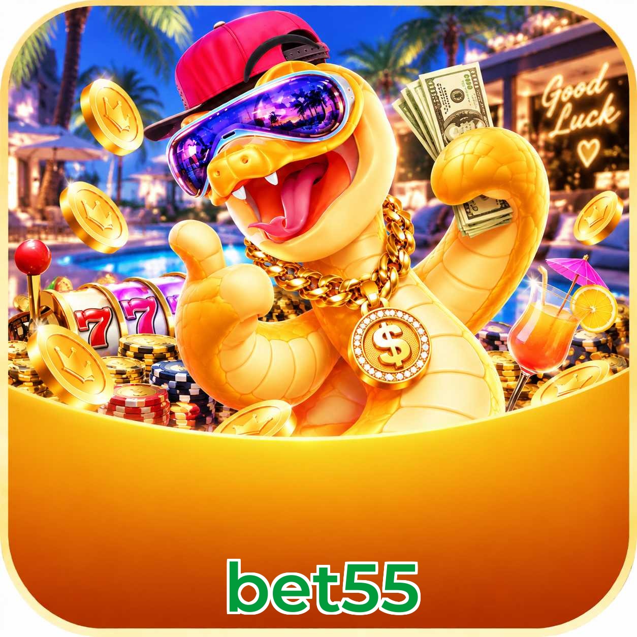 bet55 Compatibilidade
