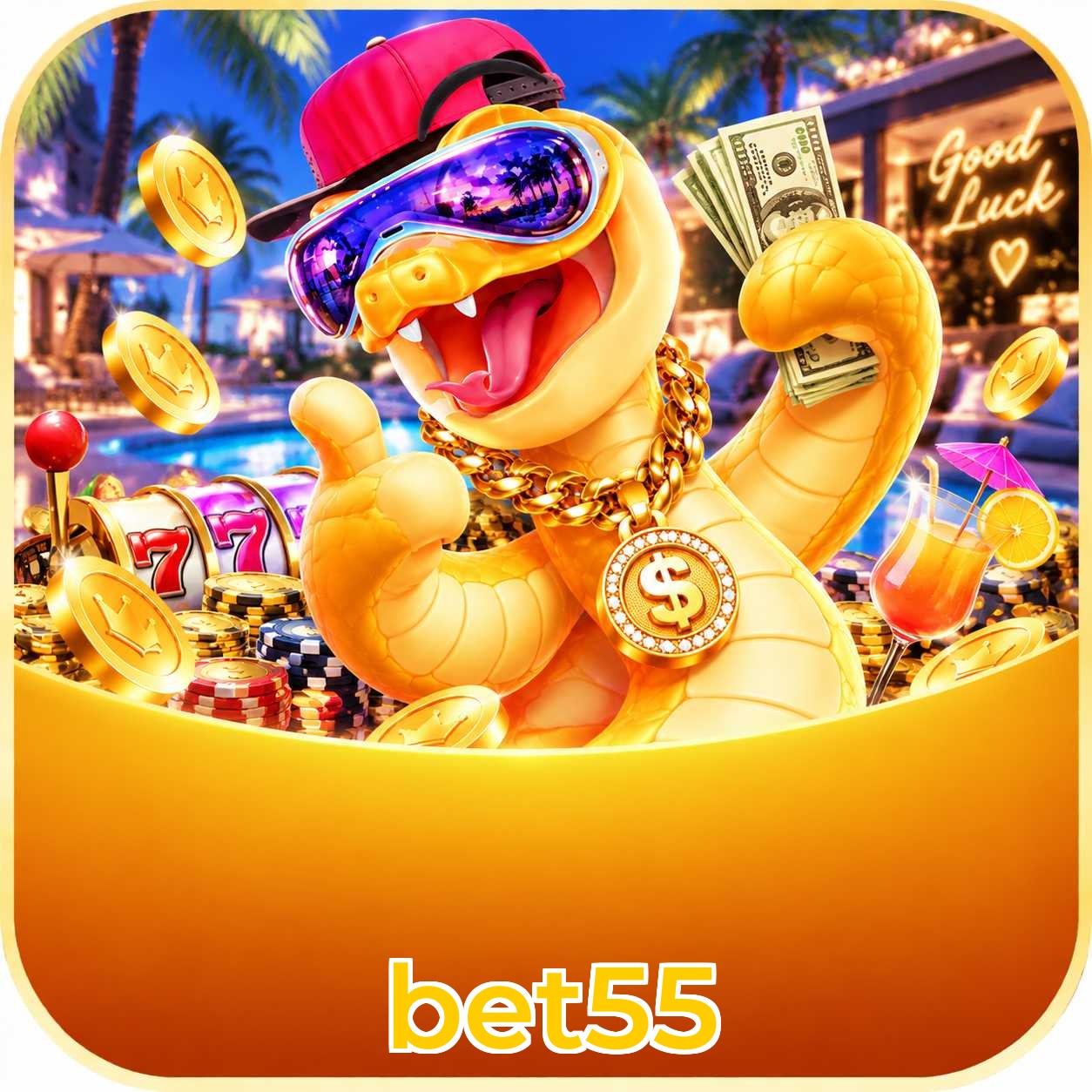 bet55 App FAQ